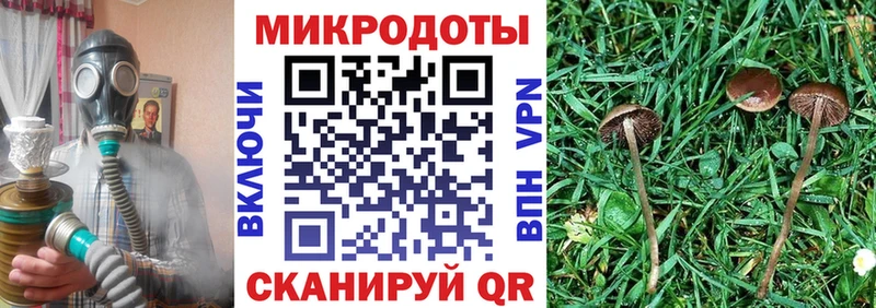 Псилоцибиновые грибы Psilocybe  Купить  Медвежьегорск 